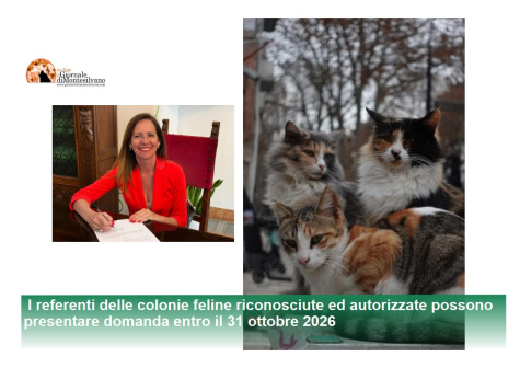 Pescara/Colonie feline, aperte le domande per ottenere un contributo del Comune