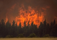 Polveri degli incendi canadesi arrivano in Italia.