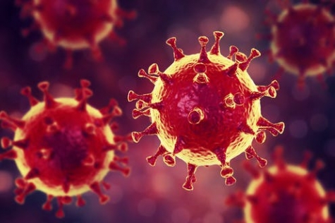Coronavirus/Abruzzo. 23 nuovi casi.
