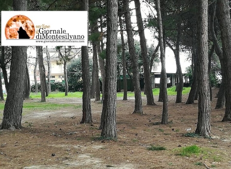 pineta di Montesilvano