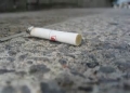 Green: multe a chi getta gomme, carte e mozziconi