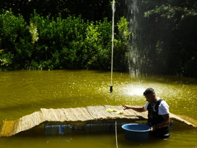 Montesilvano/Parco della Libertà, operazioni salvataggio tartarughe
