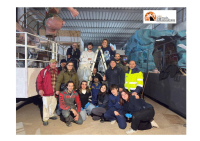 Carnevale 2026: a Martinsicuro e Villa Rosa la sfilata dei carri allegorici e gruppi mascherati