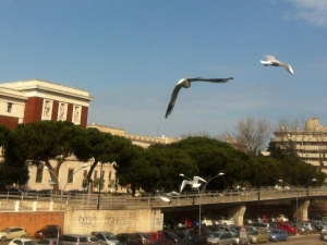 Municipio di Pescara