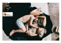 Moscufo, animali d'affezione si possono tumulare con i padroni. Passa la delibera in consiglio comunale