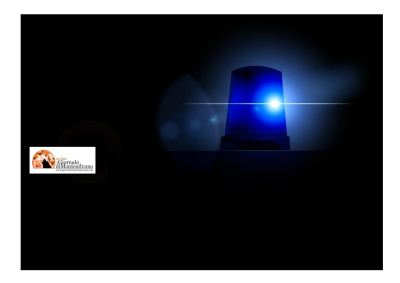 Teramo, report sulle attività della Polizia nei primi giorni del 2024