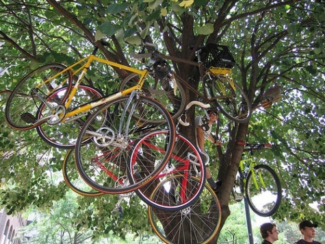 Pescara/ bici sequestrate da Municipale. Cpi: “Se non riscattate entro 30 giorni, alla Caritas”
