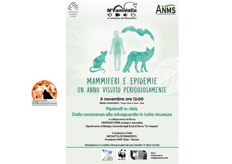 Chieti. Torna “M’Ammalia”, quest’anno con un focus sui pipistrelli