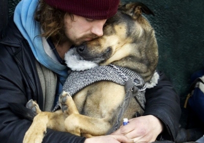 Cane investito, risarcimento per legame affettivo