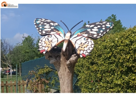 Giulianova. Farfalle e arte al Parco dell’Annunziata.