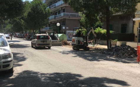 Pescara/Piste ciclabili, "Alberi danneggiati da lavori e a rischio di crollo"