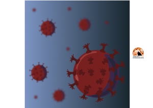 Covid/Abruzzo. 264 nuovi casi, tasso positività è al 3.1 per cento