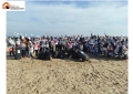 Montesilvano. In 140 per la “Giornata insieme per l’Ambiente “. Ripuliscono il lungomare.