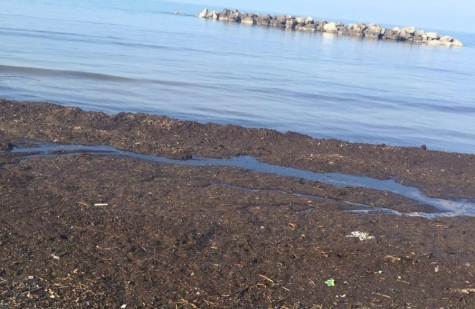 Pescara. Risolto mistero dei detriti sulla battigia
