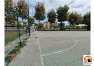 Montesilvano, impianti sportivi in custodia di percettori reddito di cittadinanza o associazioni