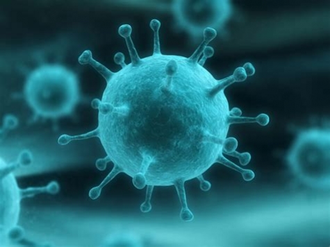 Influenza, oltre 100 morti