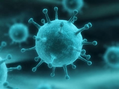 Influenza, oltre 100 morti