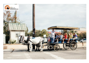 Guide turistiche. Bando per l’esame di abilitazione, stima 4000 partecipanti.