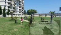 Queen Park la figliola delling. Clivio finalmente gioca tra le palme del parco