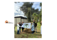 Festa dell'albero. Piantato un leccio davanti all'ospedale di Giulianova.