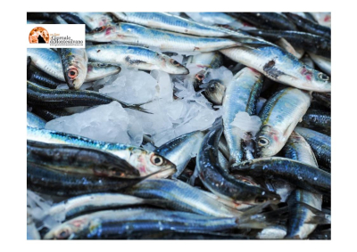 Pescara/molo sud e del molo nord. La compravendita di pescato sulle bancarelle va protetta