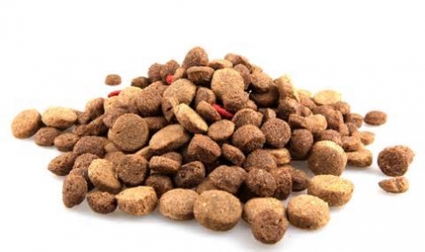 croccantini per cane