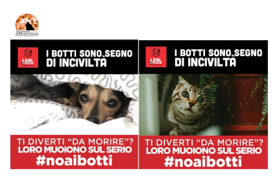 Amici animali. No botti a Capodanno. 7 regole per salvarli.