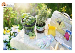 “Montesilvano Expo Giardino” nel fine settimana