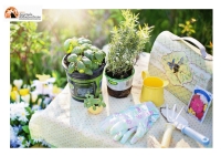 “Montesilvano Expo Giardino” nel fine settimana