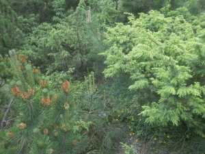 Nel Lento tepore, vince a Terni la lirica di Gabriele Di Meo, poeta barbiere.