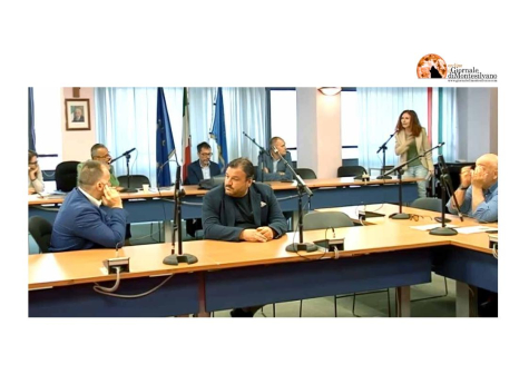 Montesilvano, Consiglio comunale boccia mozione su censimento alberi monumentali. Costanzo: Occasione mancata.
