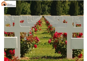 Abruzzo. Cimitero bambini mai nati, parere negativo pari opportunità: testo illegittimo.