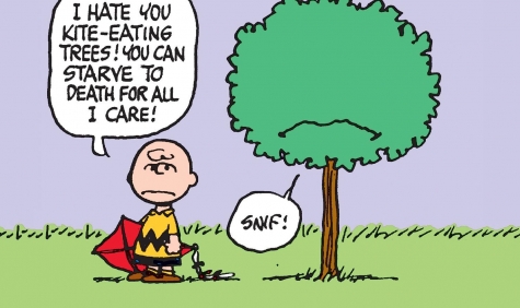 una vignetta di Charlie Brown