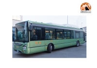 Italia Viva chiede collegamento bus tra Spoltore, Pescara, Montesilvano andata e ritorno.