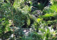 Loreto Aprutino, lezioni di botanica al Parco Ligustri