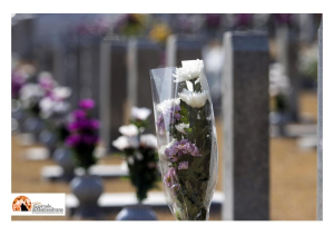 Report choc: 1.108 i cadaveri non identificati in Italia, nessuno li reclama.