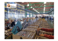 Ernyaldisko, 17ª Fiera del Disco di Pescara