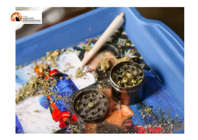 Giulianova, arresti domiciliari per pusher: avevano hashish e ketamina in polvere