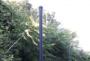 Montesilvano Colle, nuove lampade a led rotte da ignoti. Palumbo: "incivili"