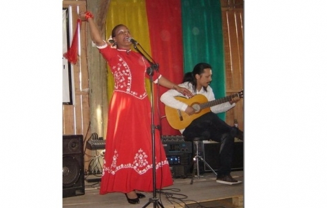 Musica dei Gauchi