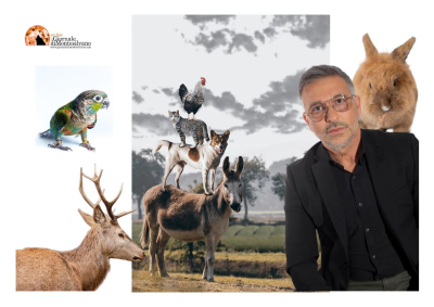 Mago Antheus: la magia curativa degli animali, sono esseri preziosi da proteggere.