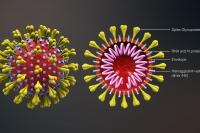 Coronavirus in Italia, quasi 25mila i casi totali