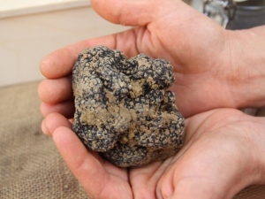 Castilenti fiera della neoruralita' cose buone e belle per abitare le aree interne d'Abruzzo