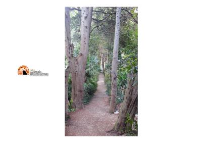 Loreto Aprutino - Visite guidate al Parco Paesaggistico Lauretum.