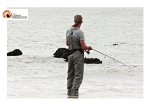 Pesca sportiva: assegnati alla città di Pescara i Campionati mondiali di “Big game fishing - specialità Drifting” 2022