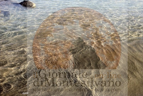 mare montesilvanese