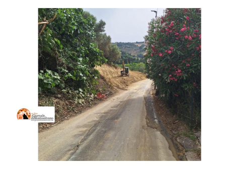 Via Catani