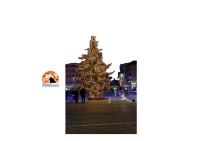 Tutti gli appuntamenti natalizi organizzati dal Comune di Pescara per il 23 dicembre