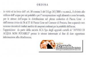 estratto del'ordinanza sindacale