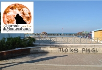 Montesilvano, senso unico sulla riviera